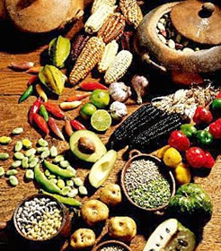 Alimentaci&oacute;n Saludable