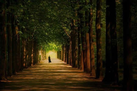 &iquest;Peras al olmo o amor a ti mismo?