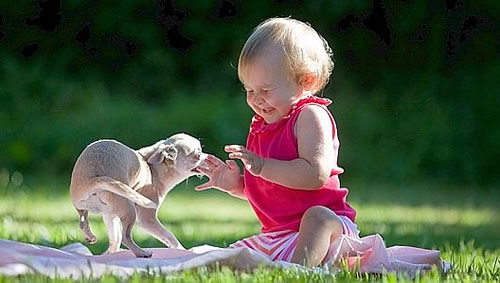 &iquest;Te sales del corralito?