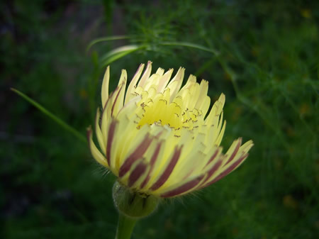 &iquest;Aprendes a hacerlo simple y f&aacute;cil?