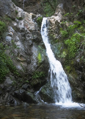 La Enfermedad y su Significado Espiritual