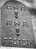 Dogma Central - Epigen&eacute;tica