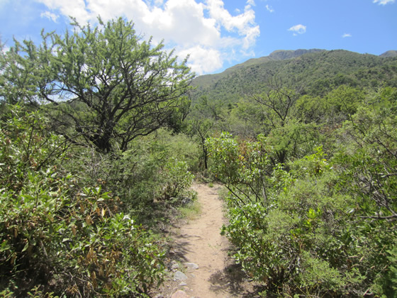 Sendero del Monte