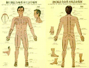 esquema de puntos shiatsu